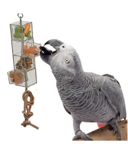 Foraging Tower - Mentally Stimulating Parrot Toy